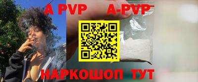 a pvp Новодвинск
