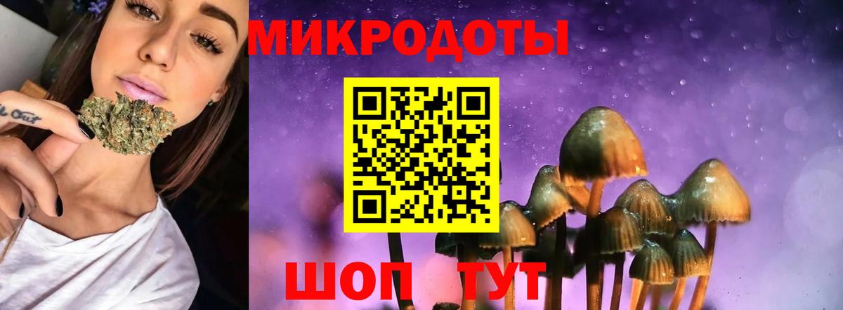наркота  Галлюциногенные грибы Cubensis  Вход с VPN  Красноперекопск  Псилоцибиновые грибы прущие грибы 